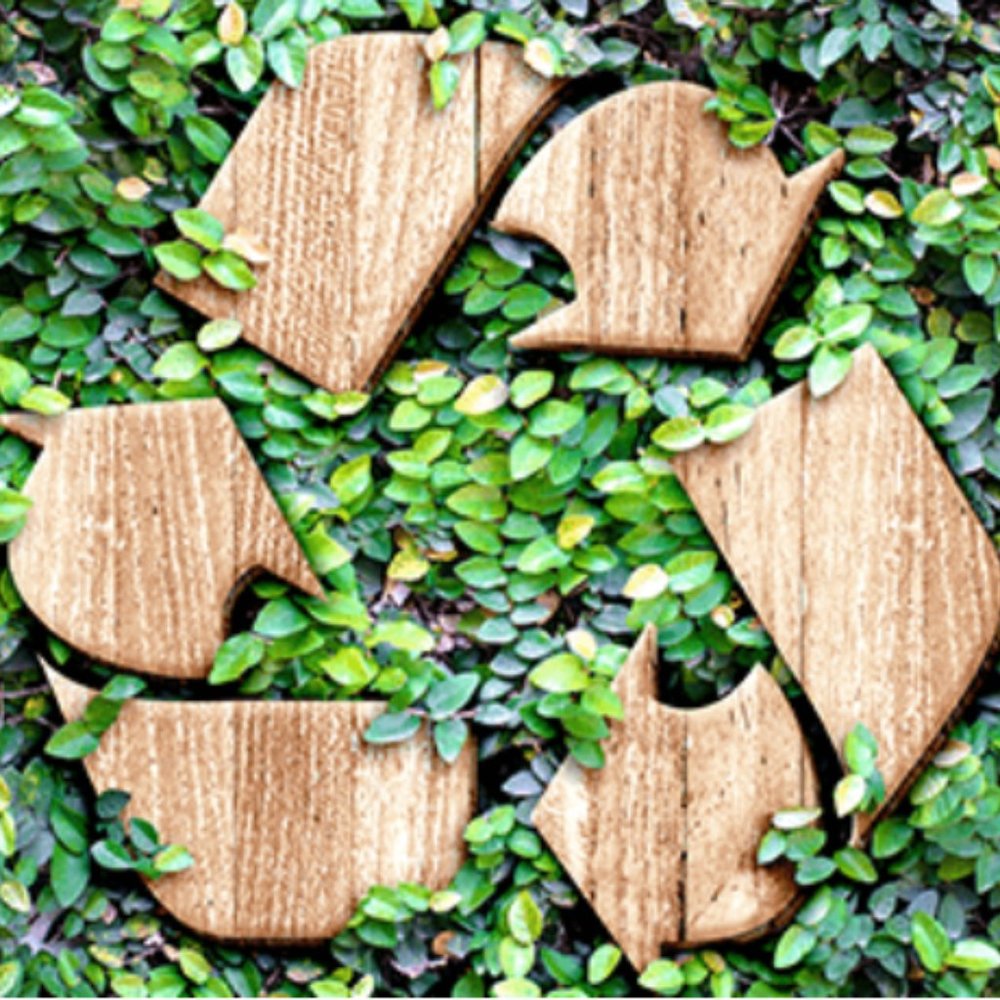 ♻️ Low Waste Eco Friendly Packaging ♻️